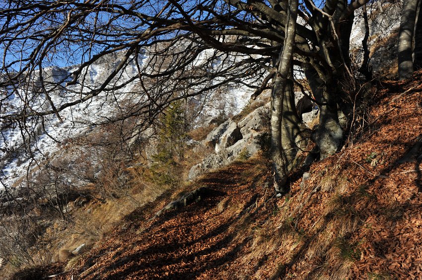 26 - Zorzone - Cima Menna.JPG